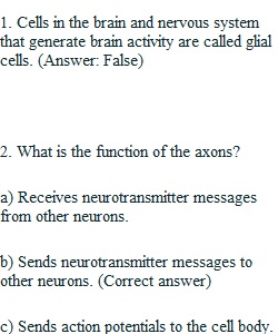 Self-Quiz Questions 2